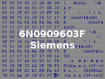 6N0909603F Siemens
