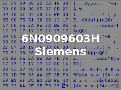 6N0909603H Siemens