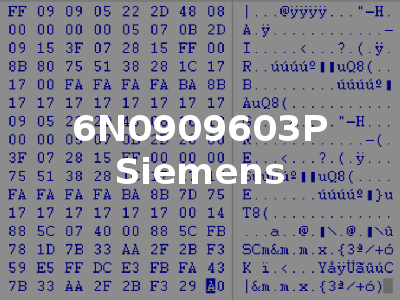 6N0909603P Siemens