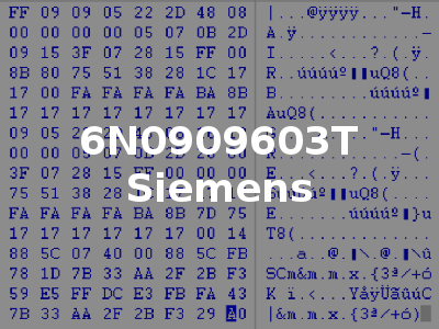 6N0909603T Siemens