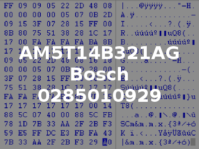 AM5T14B321AG Bosch 0285010929