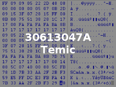30613047A Temic