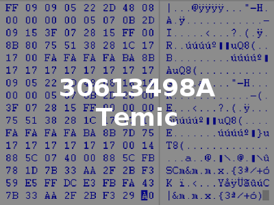 30613498A Temic