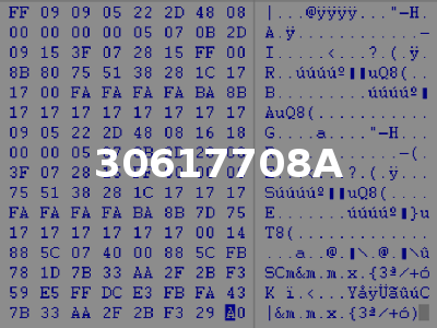 30617708A