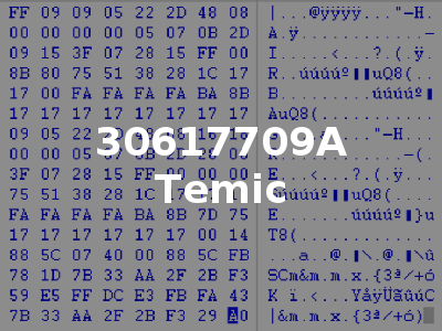 30617709A Temic