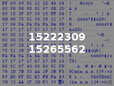 15222309 15265562