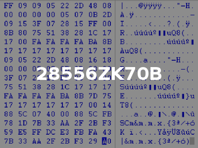 28556ZK70B