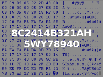 8C2414B321AH 5WY78940