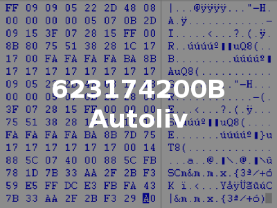 623174200B Autoliv