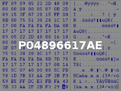 P04896617AE