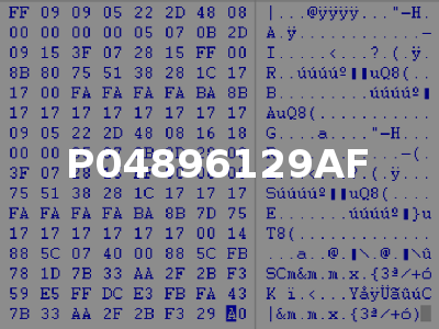 P04896129AF