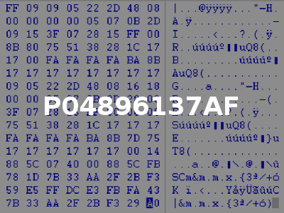 P04896137AF