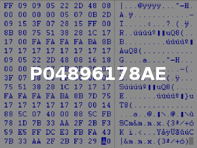 P04896178AE