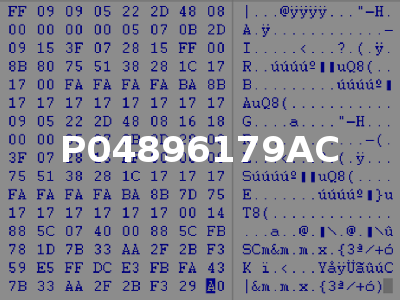 P04896179AC