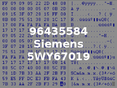 96435584 Siemens 5WY67019