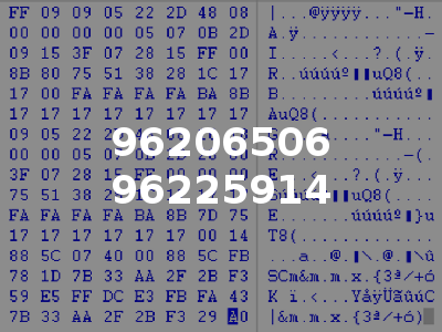 96206506 96225914