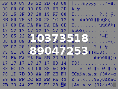 10373518 89047253