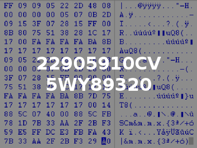 22905910CV 5WY89320