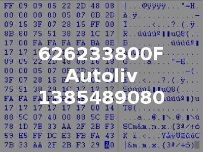 626233800F Autoliv 1385489080