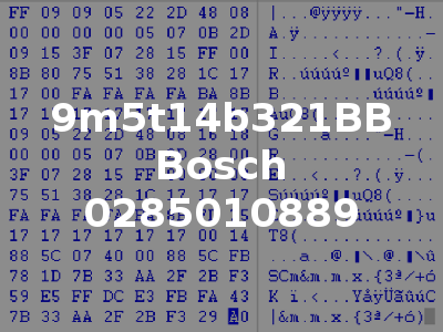 9m5t14b321BB Bosch 0285010889