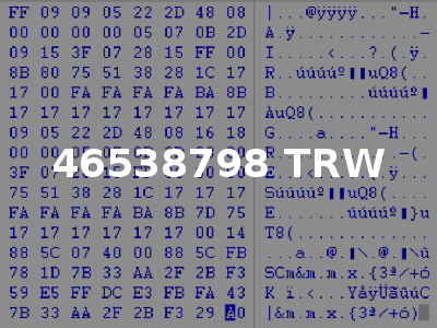 46538798 TRW
