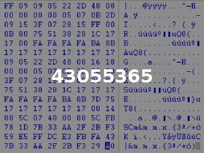 43055365