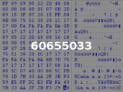 60655033