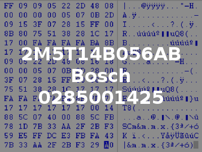2M5T14B056AB Bosch 0285001425