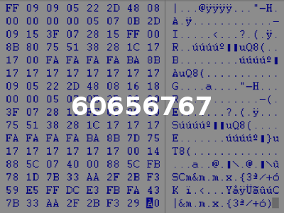 60656767