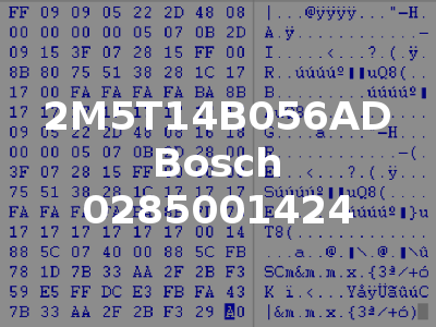 2M5T14B056AD Bosch 0285001424