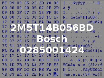 2M5T14B056BD Bosch 0285001424