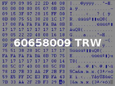 60658009 TRW