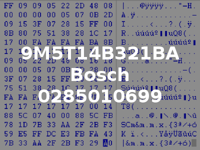 9M5T14B321BA Bosch 0285010699