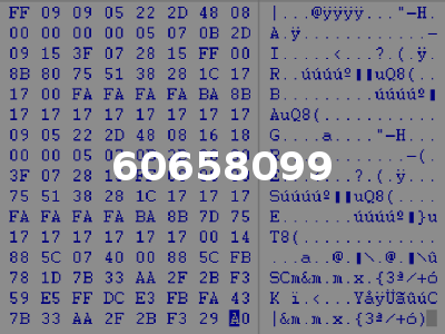 60658099