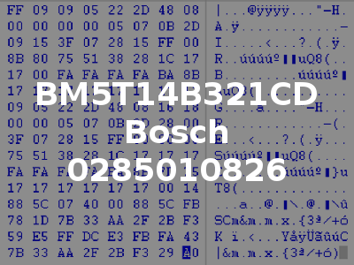 BM5T14B321CD Bosch 0285010826