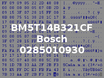 BM5T14B321CF Bosch 0285010930