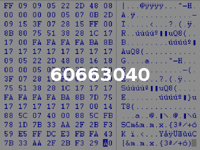 60663040