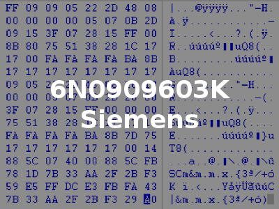 6N0909603K Siemens