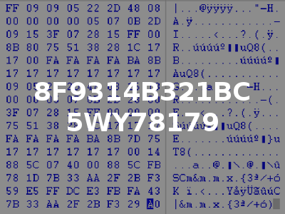 8F9314B321BC 5WY78179