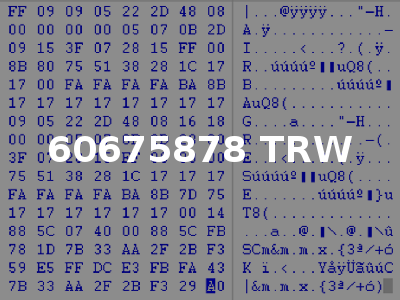 60675878 TRW