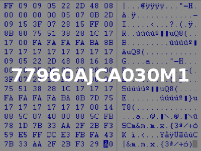 77960AJCA030M1