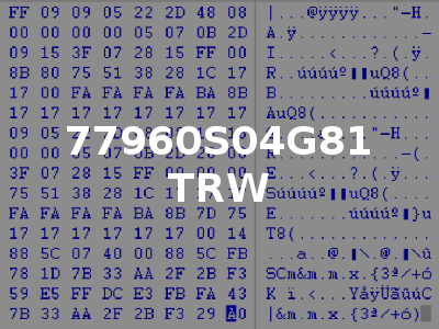 77960S04G81 TRW