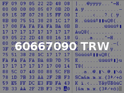 60667090 TRW