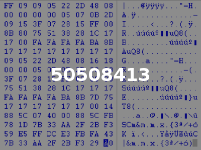 50508413
