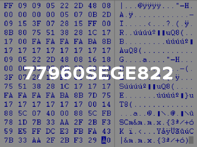 77960SEGE822