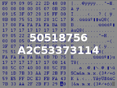 50518756 A2C53373114