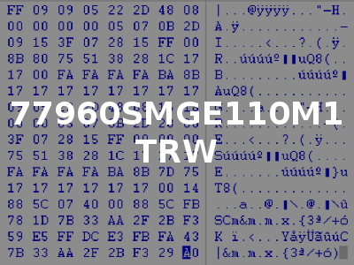 77960SMGE110M1 TRW