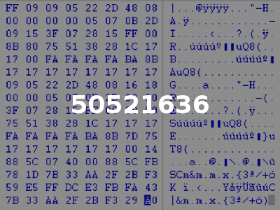 50521636