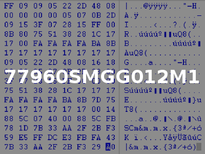 77960SMGG012M1