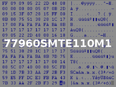 77960SMTE110M1